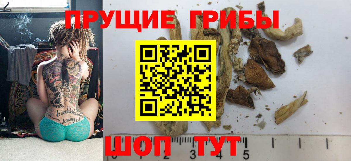 Галлюциногенные грибы Cubensis Хасавюрт