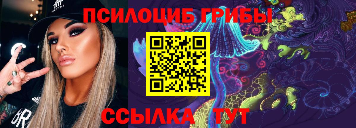Хасавюрт  Псилоцибиновые грибы мухоморы  Вход с VPN 